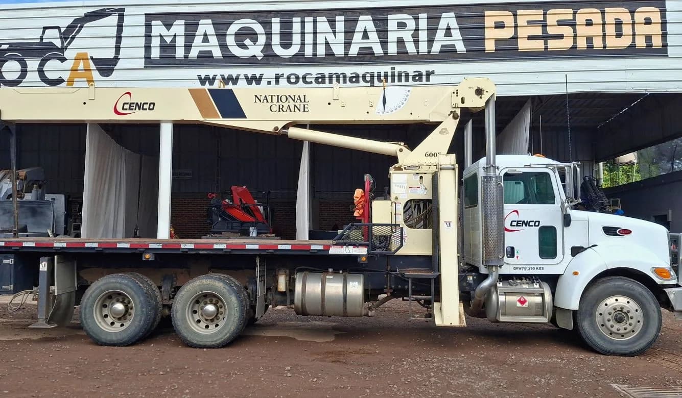 Grúa Titán 20 toneladas National Crane 600E en venta 2